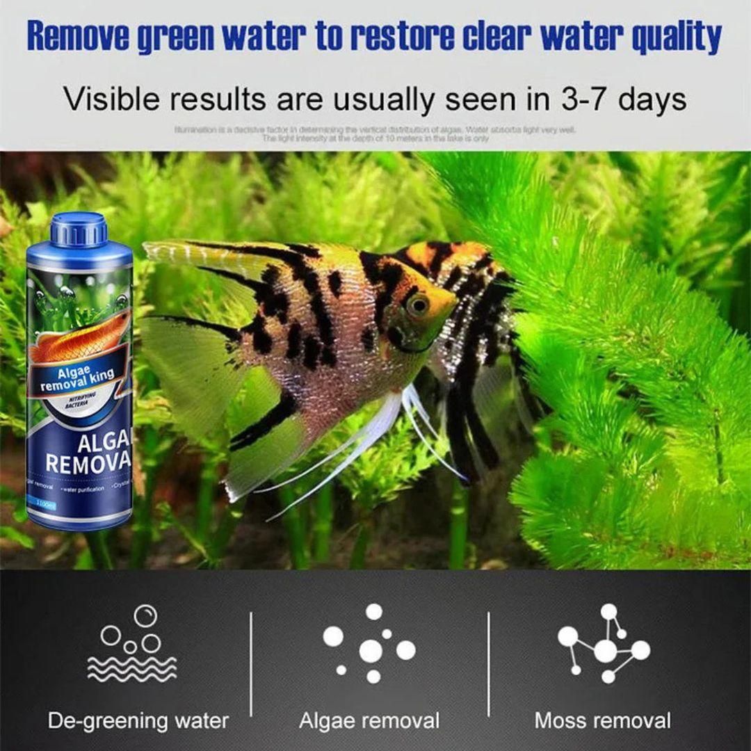 Algae Remover Fish Tank Removes Green Algae Fish Pond Algaecide Moss Removal (Pack of 2)
