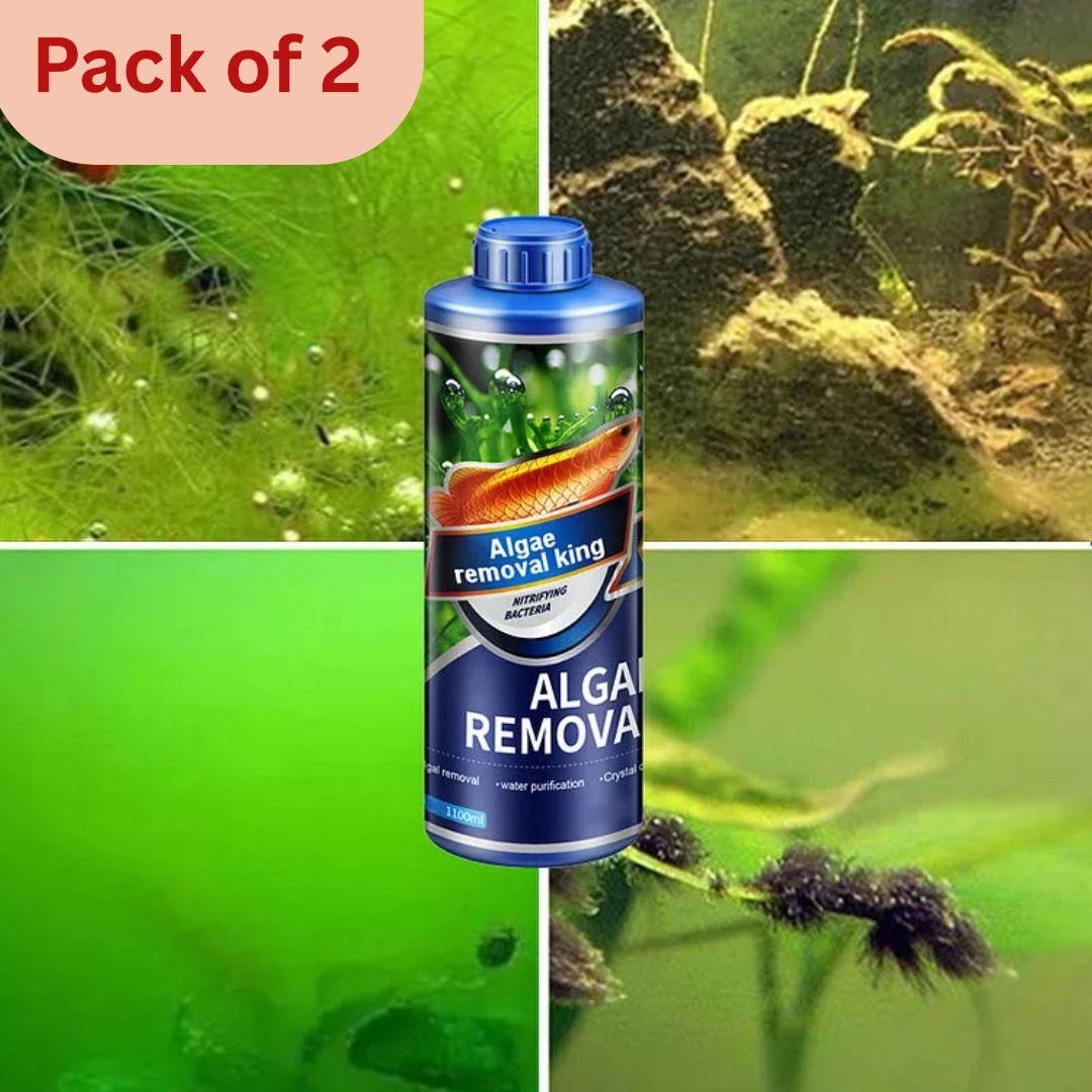Algae Remover Fish Tank Removes Green Algae Fish Pond Algaecide Moss Removal (Pack of 2)
